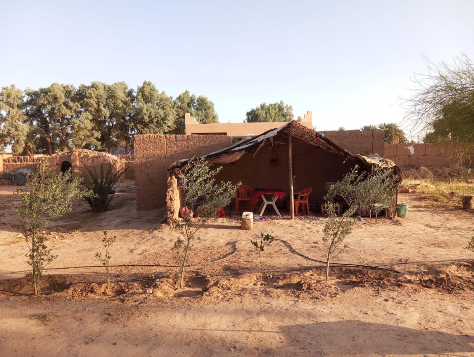 La Maison-Berbere Mhamid M'Hamid Exteriér fotografie
